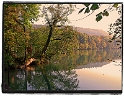 Schwarzwasserstelz 1